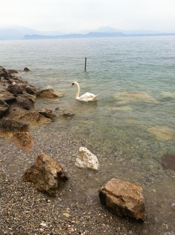 Casa Caterina Lake View Holidays Apartments بسكييرا ديل غاردا المظهر الخارجي الصورة